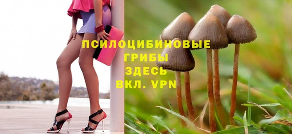 ешки Волоколамск