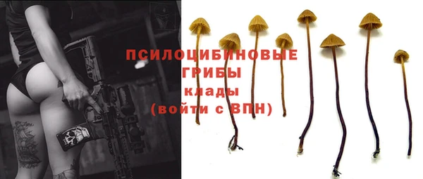 ECSTASY Володарск