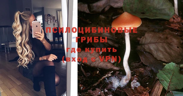 ешки Волоколамск